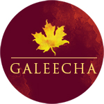 Galeecha